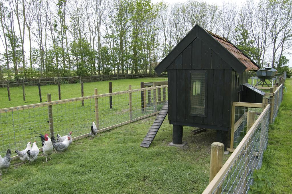Vakantiehuisje Ursula ウォルクム 部屋 写真
